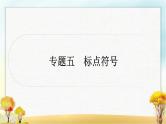 中考语文复习专题五标点符号教学课件
