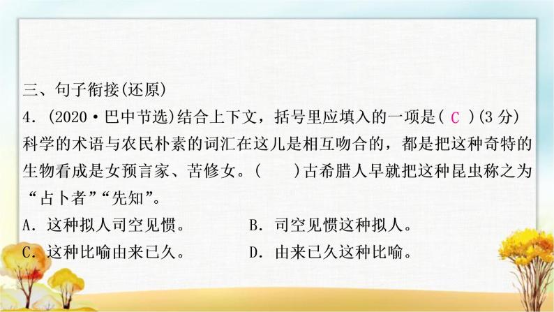 中考语文复习专题六句子排序与衔接教学课件08