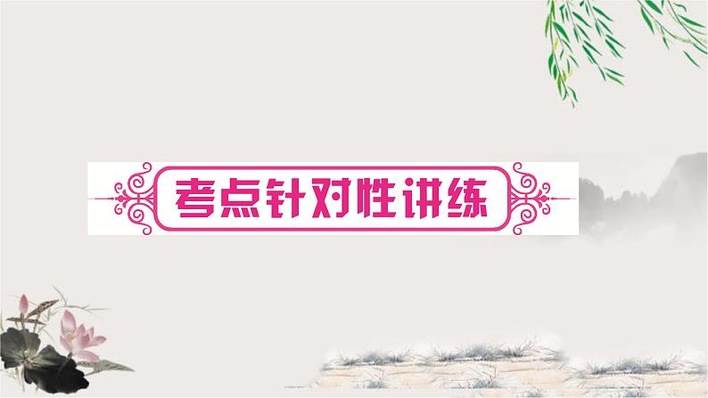 中考语文复习考点针对性讲练教学课件第1页