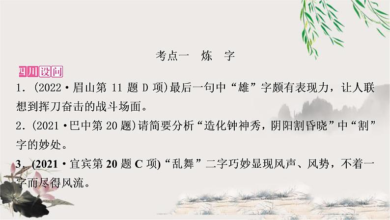 中考语文复习考点针对性讲练教学课件第2页