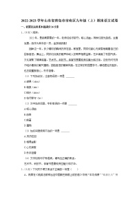 山东省青岛市市南区2022-2023学年九年级上学期期末考试语文试卷(含答案)
