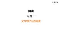 中考语文复习-- 文学类作品阅读（精品课件）