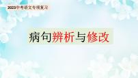 中考语文专项复习  病句辨析与修改 （课件）