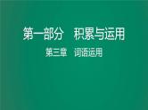 中考语文复习积累运用第三章词语运用课件