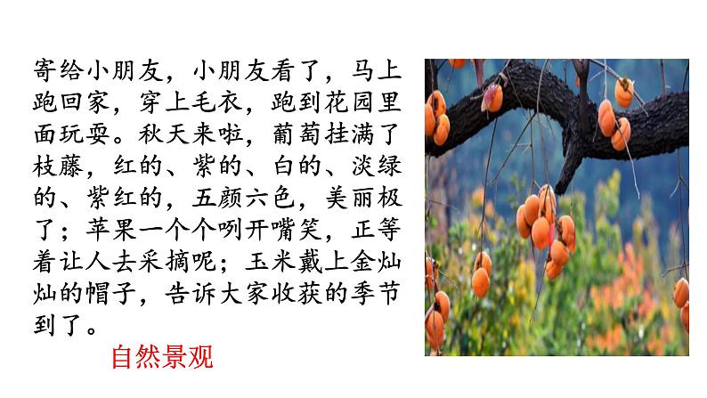 七年级上册第一单元 写作  《热爱生活，热爱写作》课件+学案+教案08