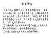 9  从百草园到三味书屋 课件+教案+素材