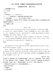 2023年上海市浦东新区九年级上学期期末（中考一模）语文试卷含详解