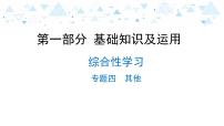 中考总复习语文16.-第一部分 基础知识及运用-综合性学习-专题四  其他课件