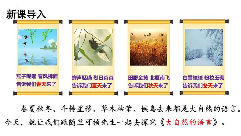 第5课《大自然的语言》课件2022-2023学年部编版语文八年级下册第3页