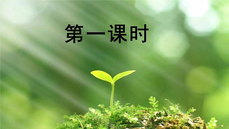 第5课《大自然的语言》课件2022-2023学年部编版语文八年级下册第4页