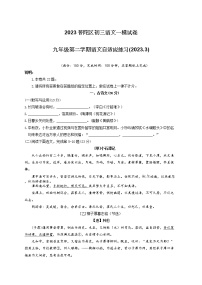2023年上海市普陀区九年级中考一模语文试卷(含答案)