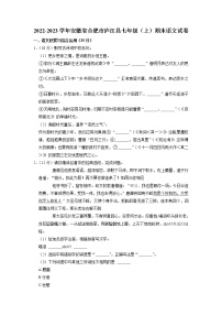 安徽省合肥市庐江县2022-2023学年七年级上学期期末语文试题-