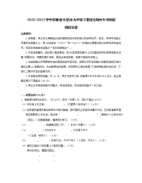 2022-2023学年安徽省合肥市九年级下册语文期中专项突破模拟试卷（含解析）