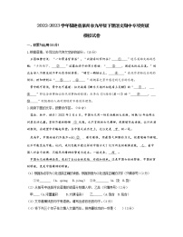 2022-2023学年福建省泉州市九年级下册语文期中专项突破模拟试卷（含解析）