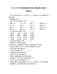 2022-2023学年河南省南阳市九年级下册语文期末专项提升模拟试卷（含解析）