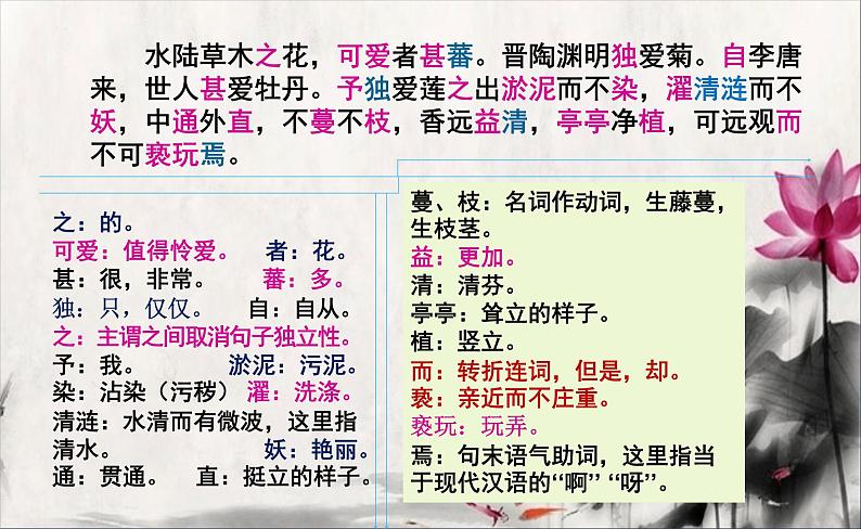 第17课《短文两篇——爱莲说》课件第7页