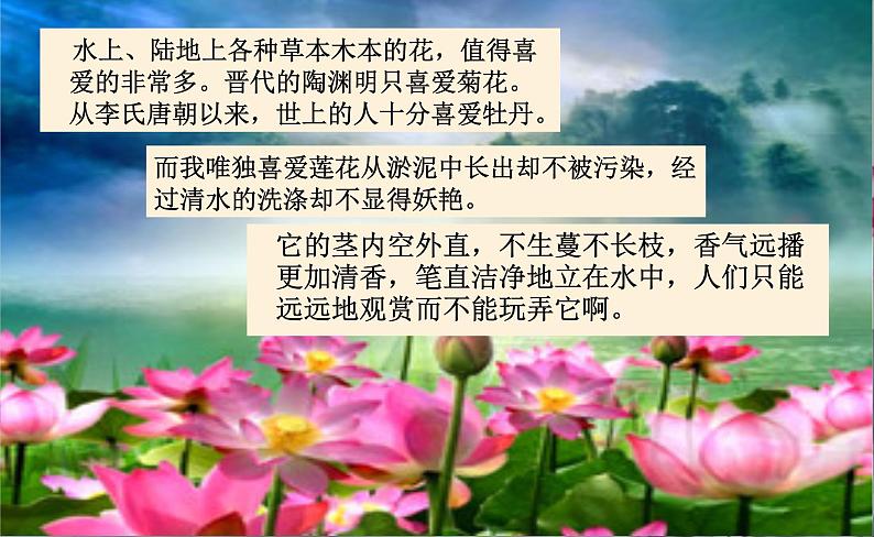 第17课《短文两篇——爱莲说》课件第8页