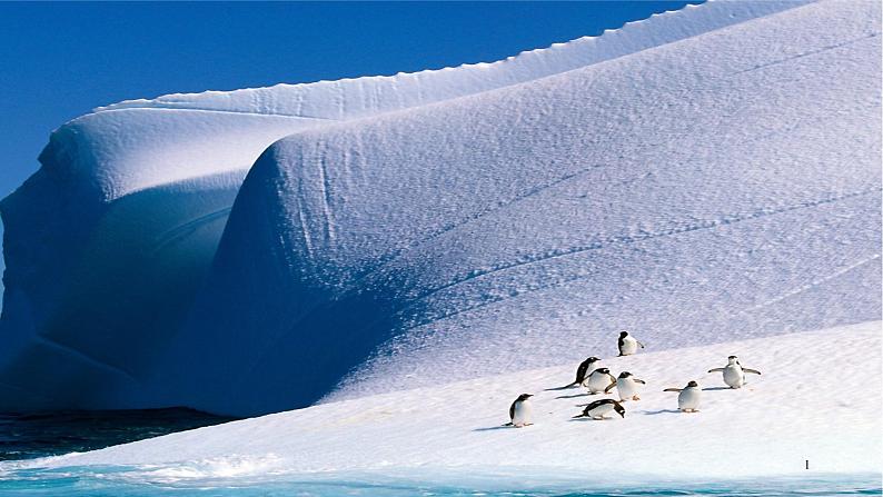 第22课《伟大的悲剧》课件第1页