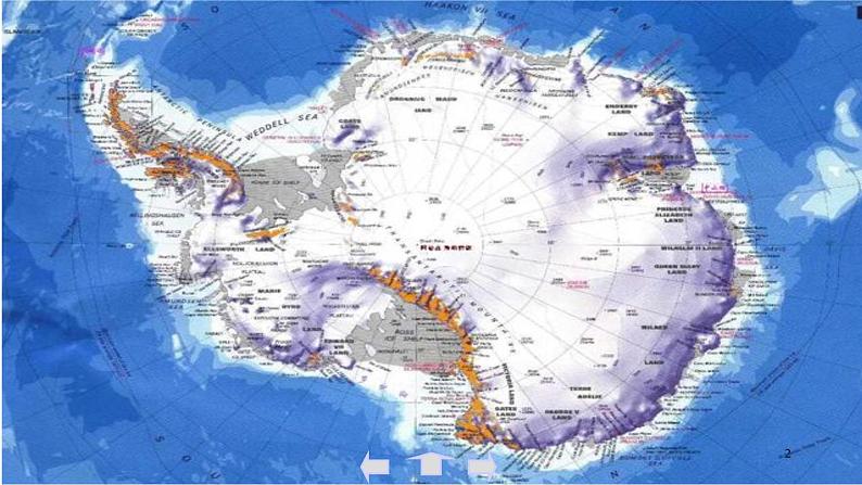 第22课《伟大的悲剧》课件第2页