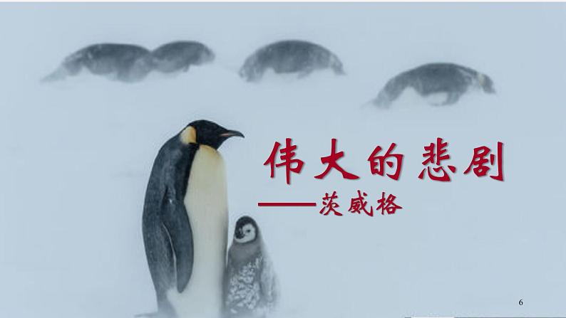 第22课《伟大的悲剧》课件第6页