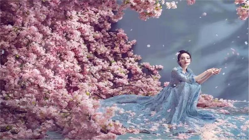 第9课《桃花源记》课件第1页