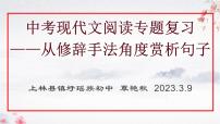 现代文阅读-从修辞手法角度赏析句子   课件  2023年中考语文二轮复习