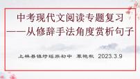 现代文阅读-从修辞手法角度赏析句子   课件  2023年中考语文二轮复习