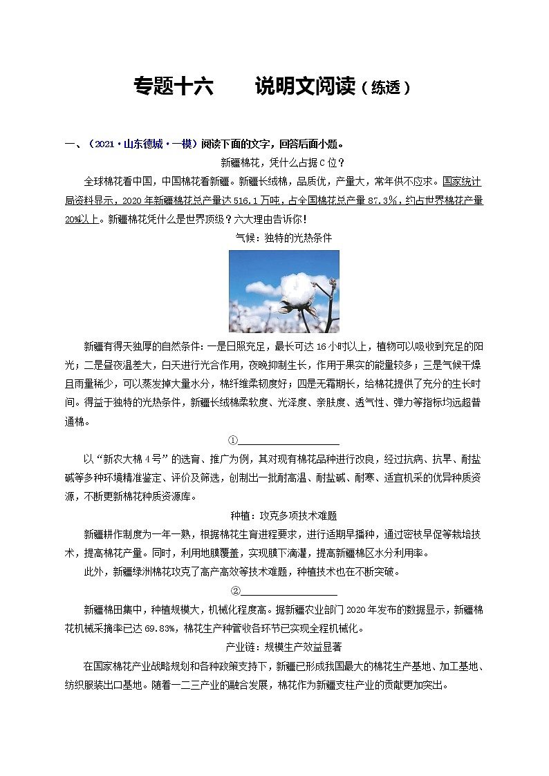 中考语文一轮复习 专题16  说明文本阅读（练透）（一）-【2022讲通练透一轮】01
