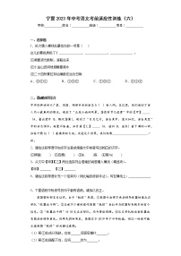 宁夏2023年中考语文考前适应性训练（六）