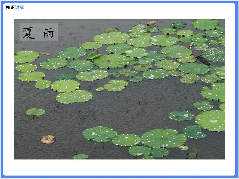 【同步课件】（部编七上）3. 雨的四季08