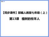 【同步课件】（部编七上）13 .植树的牧羊人