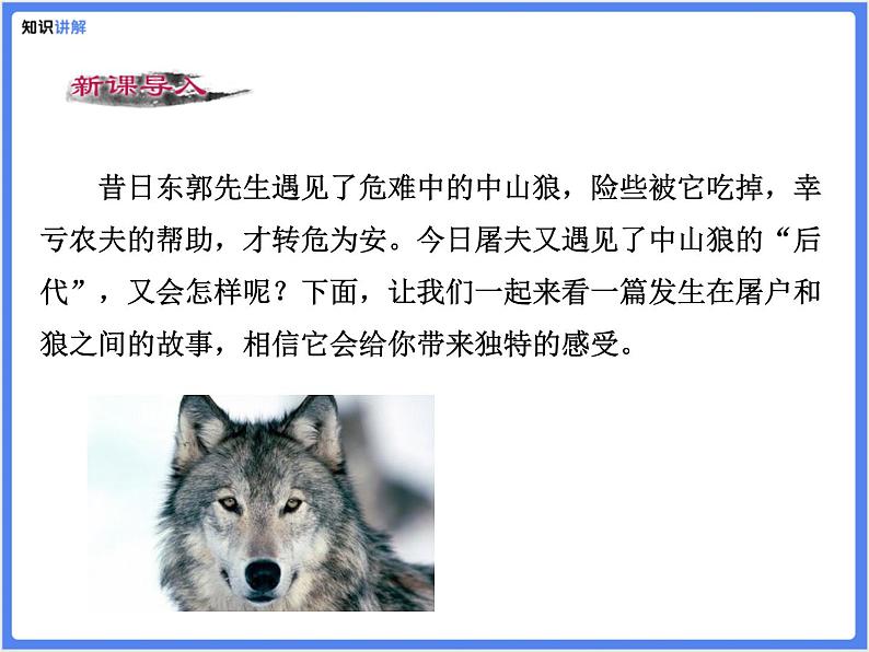 【同步课件】（部编七上）18. 狼06