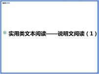 【精品课件】中考冲刺—阅读模块：说明文阅读（1）