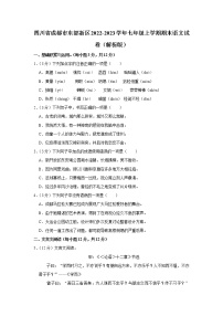 四川省成都市东部新区2022-2023学年七年级上学期期末语文试卷（含答案）