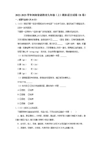 河南省洛阳市2022-2023学年九年级上学期期末考试语文试题（B卷）（含答案）