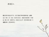 第1课《祖国啊，我亲爱的祖国》课件2022-2023学年部编版语文九年级下册