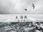 第4课《海燕》课件2022-2023学年部编版语文九年级下册