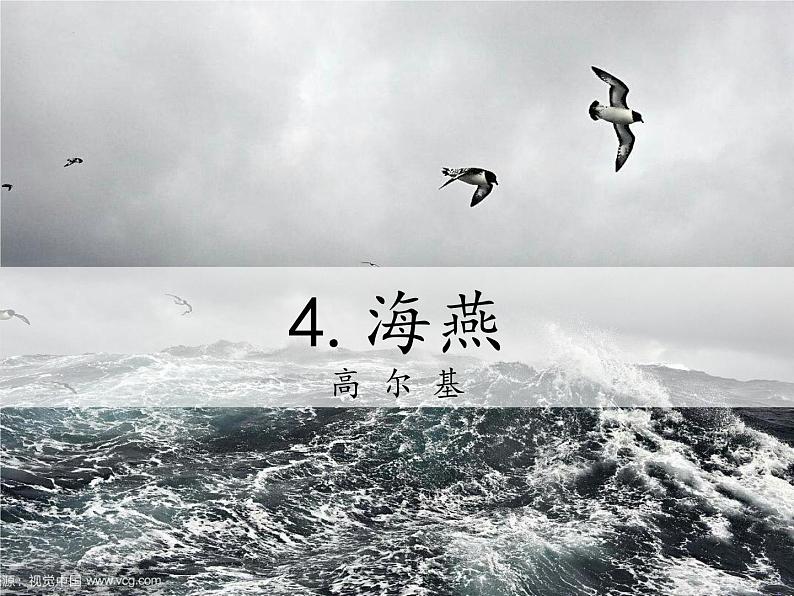 第4课《海燕》课件2022-2023学年部编版语文九年级下册第1页