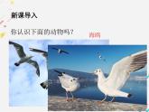 第4课《海燕》课件2022-2023学年部编版语文九年级下册