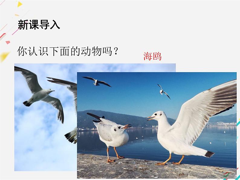 第4课《海燕》课件2022-2023学年部编版语文九年级下册第2页