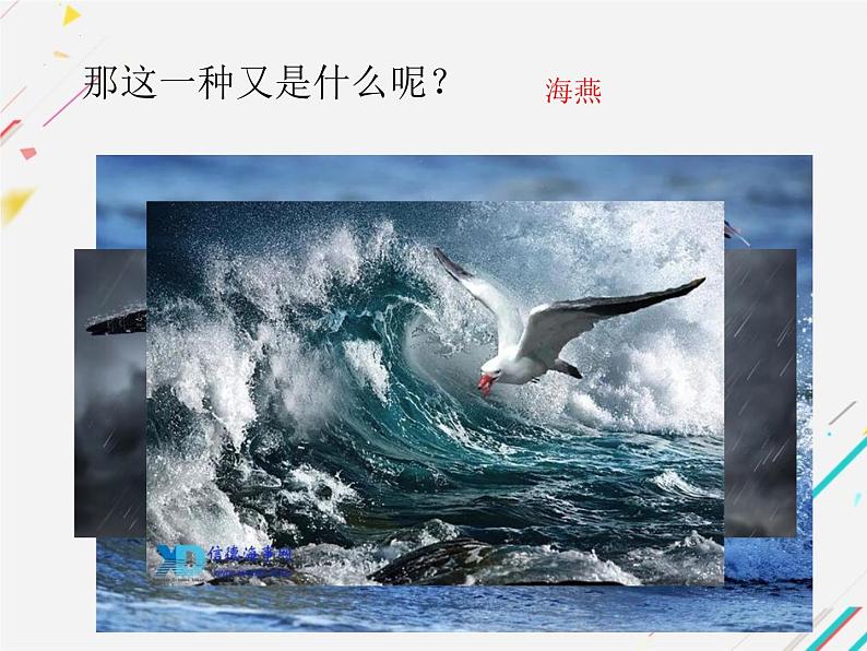 第4课《海燕》课件2022-2023学年部编版语文九年级下册第3页