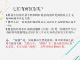 第4课《海燕》课件2022-2023学年部编版语文九年级下册
