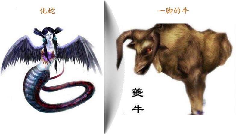 第10课《阿长与山海经》课件2022—2023学年部编版语文七年级下册06