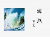 海燕上课课件