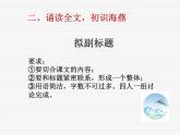 海燕上课课件
