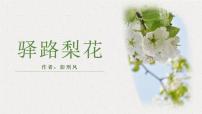 初中语文人教部编版七年级下册驿路梨花教课内容ppt课件