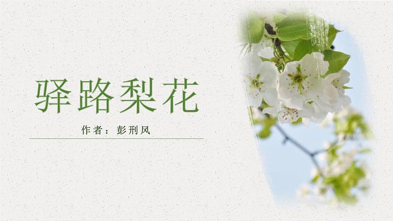 第15课《驿路梨花》课件2022-2023学年部编版语文七年级下册第1页
