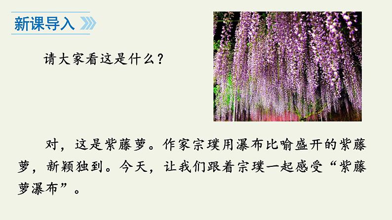 第18课《紫藤萝瀑布》课件2022—2023学年部编版语文七年级下册第4页