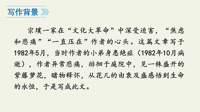 第18课《紫藤萝瀑布》课件2022—2023学年部编版语文七年级下册第7页