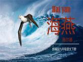 第4课《海燕》课件2022-2023学年部编版语文九年级下册